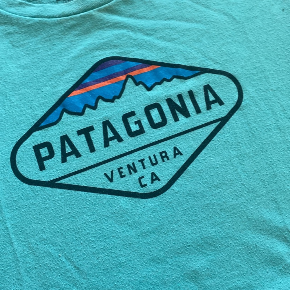Patagonia Teal Graphic Tee - Picture 2 of 4